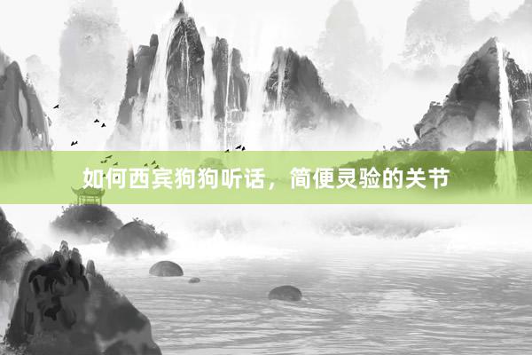 如何西宾狗狗听话，简便灵验的关节