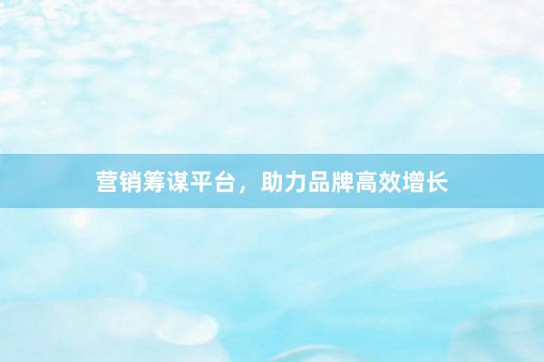 营销筹谋平台,助力品牌高效增长