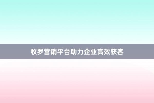 收罗营销平台助力企业高效获客